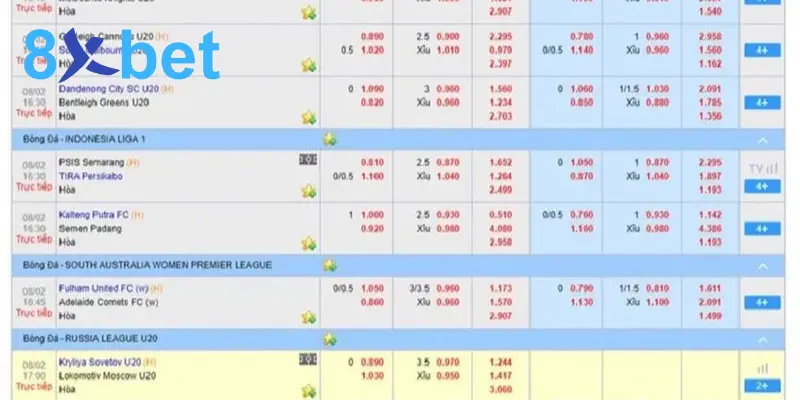 Cá cược thể thao 8Xbet - Hướng dẫn tham gia thắng lớn Cá cược bóng đá