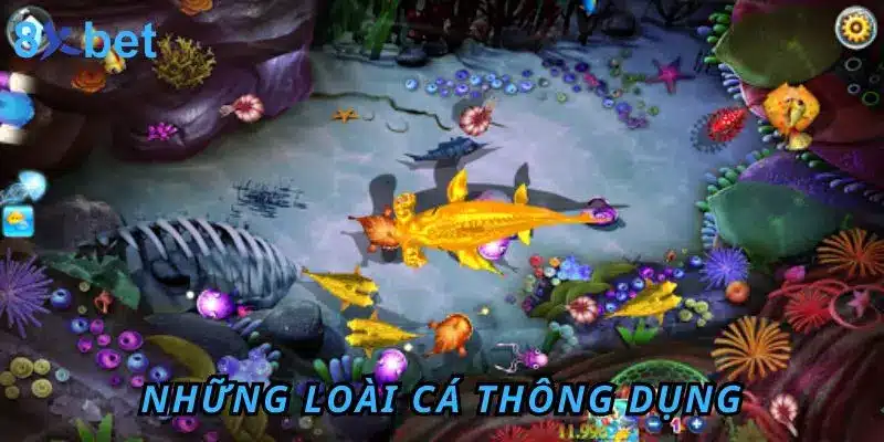Bắn Cá iCa – Trải Nghiệm Giải Trí Đổi Thưởng Hấp Dẫn Những loài cá thông dụng